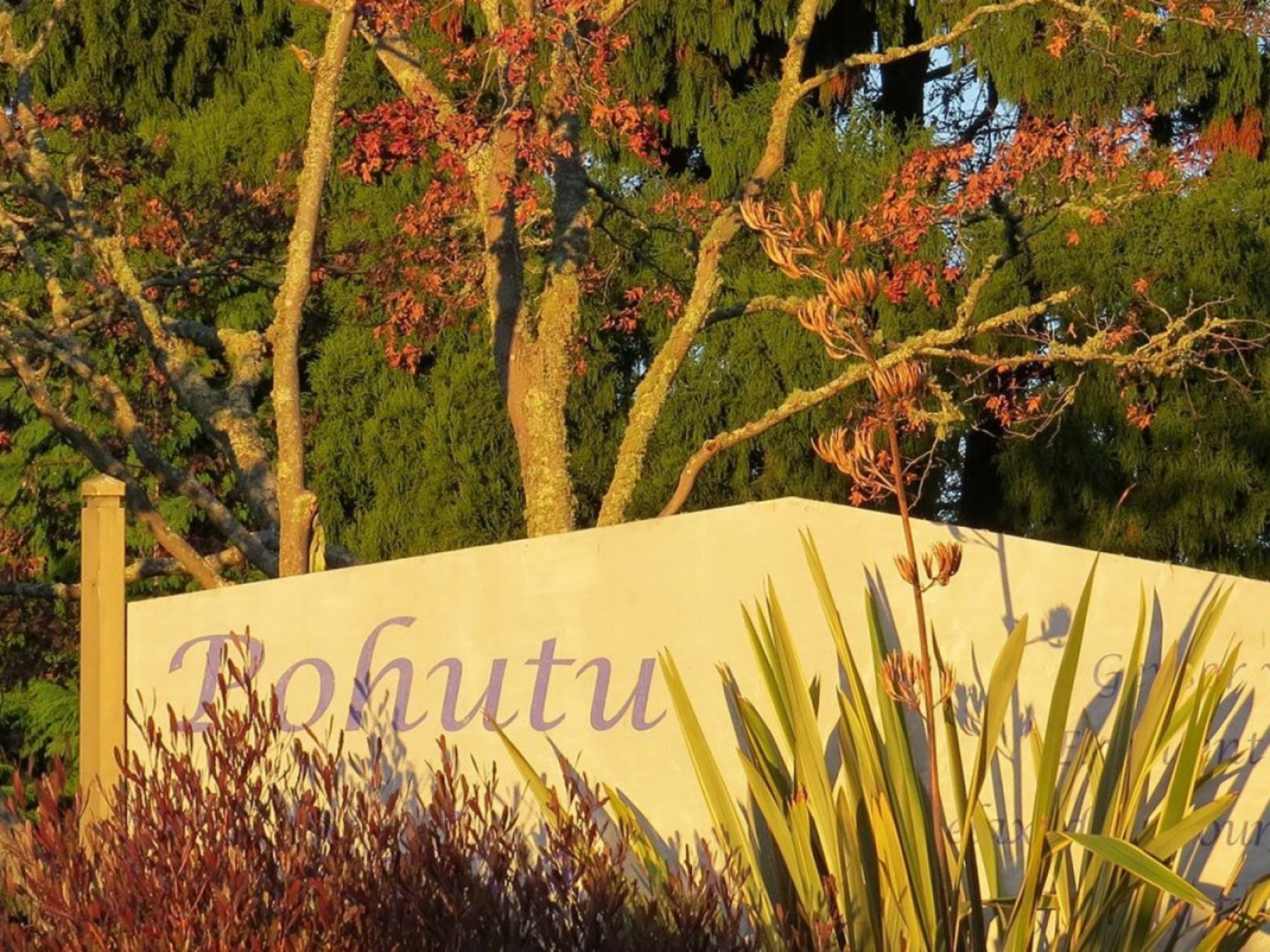 Pohutu Lodge Motel Rotorua Exteriér fotografie